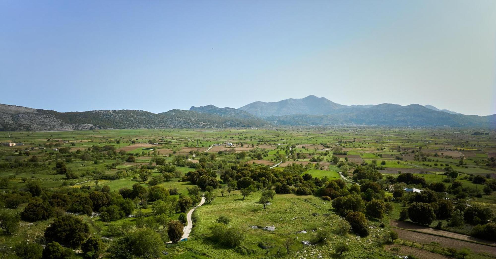 Mylostassi Villas With Balcony Plunge Pool Plati  Buitenkant foto