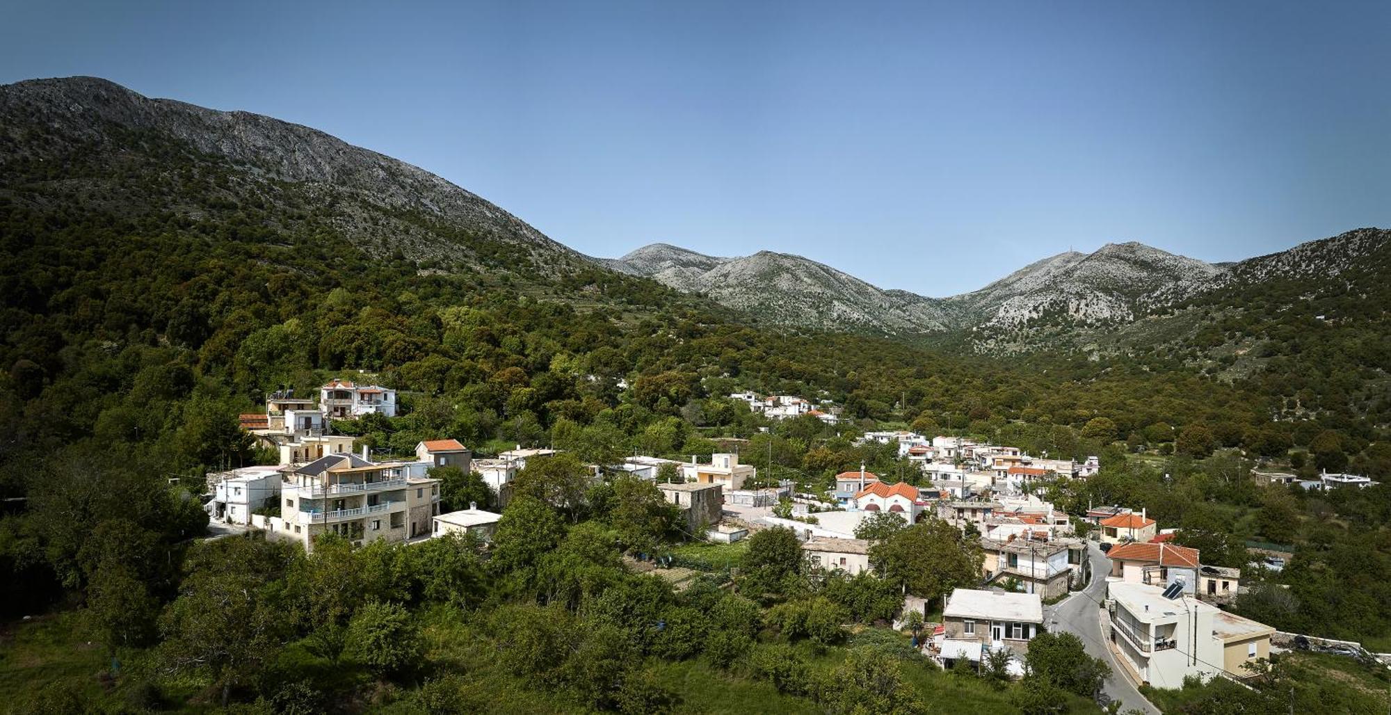 Mylostassi Villas With Balcony Plunge Pool Plati  Buitenkant foto