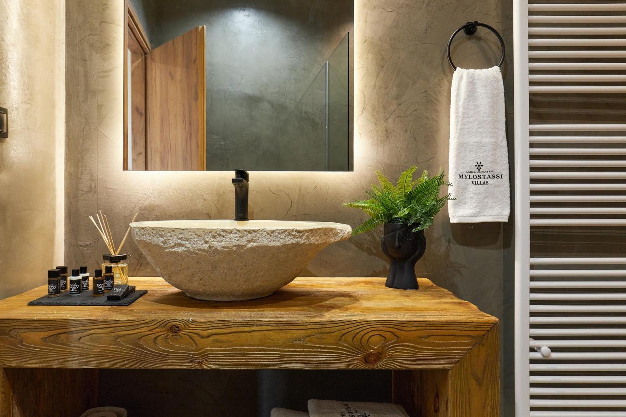 Mylostassi Villas With Balcony Plunge Pool Plati  Buitenkant foto